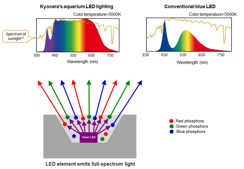 kyocera_develops_world_s_first_full-spectrum_led_aquarium_lighting.-cps-63160-image.cpsimage.jpg